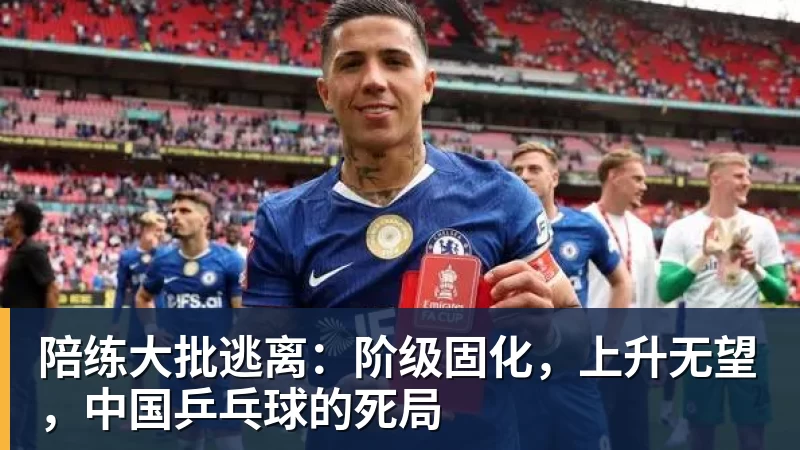 陪练大批逃离:阶级固化,上升无望,中国乒乓球的死局
