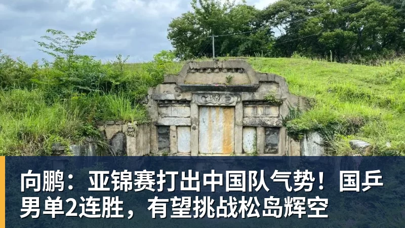 向鹏:亚锦赛打出中国队气势!国乒男单2连胜,有望挑战松岛辉空