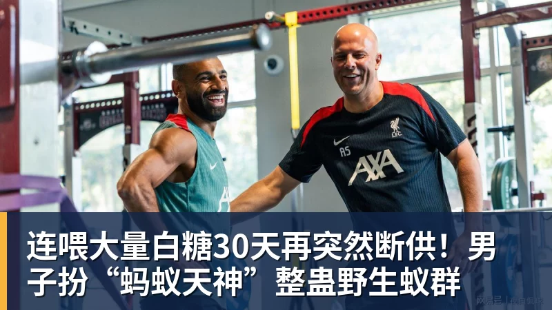 连喂大量白糖30天再突然断供!男子扮“蚂蚁天神”整蛊野生蚁群